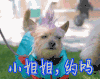 小姐姐约吗