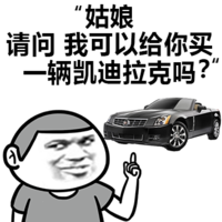 金馆长 汽车 搞怪 姑娘请问我可以给你买一辆凯迪拉克吗