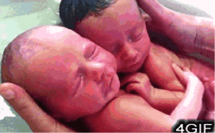 双胞胎 洗澡 保护 哥哥