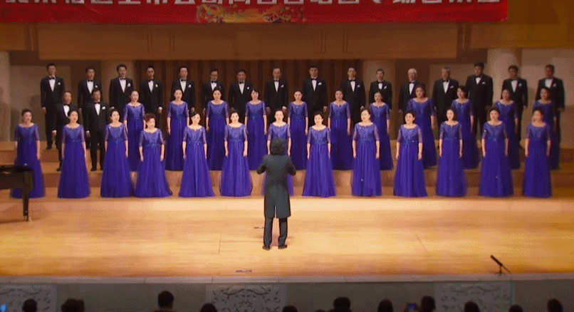 合唱团 高管合唱团 中国最贵合唱团 上市高管合唱团