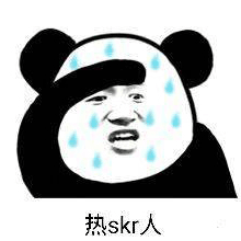 skr 熱skr人