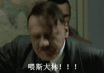 元首gif元首的愤怒gif帝国的毁灭gif希特勒gif河北省gif