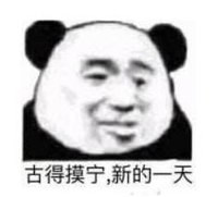 暴漫 熊猫头 古德摸宁 新的一天 搞笑 蠢萌 逗