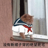猫 肥宅 绝望 没有