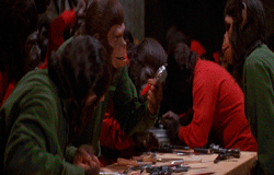 猩球崛起 电影 征服 人猿星球 黑猩猩