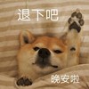 萌宠 汪星人 晚安啦 睡觉 搞怪 逗