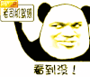 熊猫人 老司机