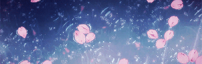 花瓣 水面 下雨 风景
