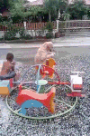 狗 旋转 坐车 玩耍 蠢萌 dog