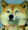 你们对力量一无所知 狗狗 可爱 钛合金狗眼