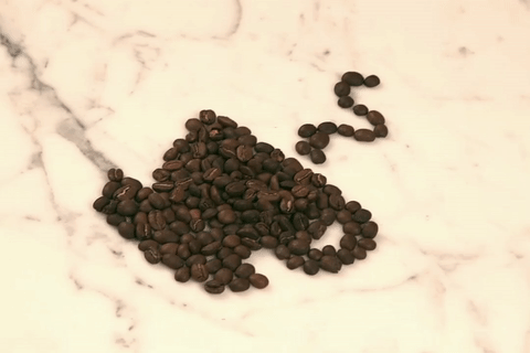 延时摄影 timelapse 咖啡豆