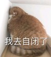 萌宠 猫星人 我去自闭了 无奈 呆萌 可爱