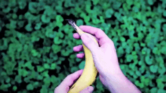 钻石的青春 香蕉 不能动摇的感觉 货架的记录