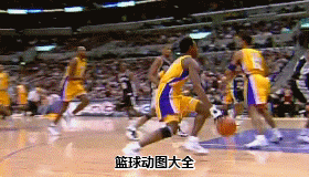 NBA 篮球 帅  速度