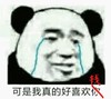 熊猫头 好喜欢钱 斗图 搞笑 猥琐