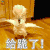 萌宠 鹦鹉 鸟 赞 给跪了 soogif soogif出品