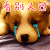狗子 萌宠 可爱 汪星人