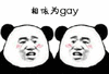 熊猫人 熊猫 小熊猫 搞怪 逗