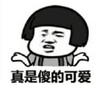 暴漫 文字表情包 真是傻的可爱 搞笑 沙雕 逗