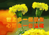 花朵 美丽 鲜艳 心间多一份温暖