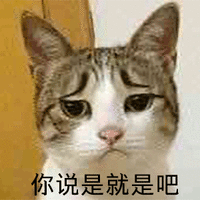 猫 喵星人 你说是就是吧 伤心