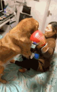 搞笑 萌宠 可爱