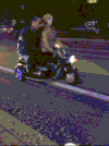 汪星人 汽车 主人 道路