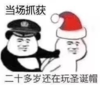 暴漫 文字表情包 当场抓获 二十多岁还玩圣诞帽 搞笑 沙雕 魔性