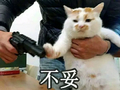 不妥 猫咪 可爱 武器