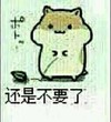 鼠鼠 可爱 青蛙 还是不要了