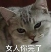 魔性 大杂烩 搞笑 逗 蠢萌