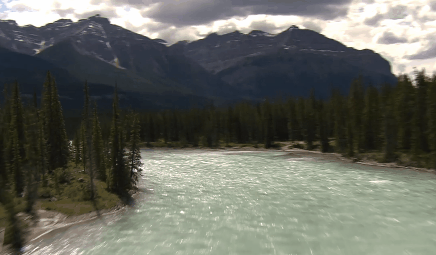 Travel&Alberta&CANADA 加拿大 森林 河流 纪录片 风景