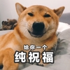 萌宠 汪星人 给你一个纯祝福 祝福你 活泼 可爱