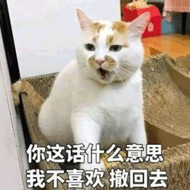 什么意思 不喜欢 撤回去 猫