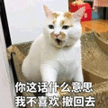 什么意思 不喜欢 撤回去 猫