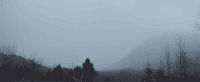 天空 树林 风吹 诡异