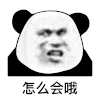 暴漫 熊猫头 怎么会哦 无奈 搞怪 逗