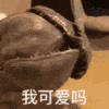 萌宠 猫星人 我可爱吗 期待 搞怪 逗