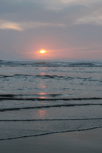 大海 夕阳 波浪 美景