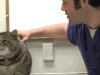 喵星人 可爱 萌宠 猫咪