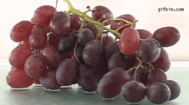 葡萄 葡萄干  水果 零食