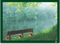 自然 下雨 美景 夏季