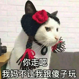 猫 拒绝 傻子 妈