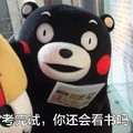 熊本熊 考完试你还会看书吗 斗图 搞笑 可爱