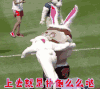 上去就是扑倒么么哒