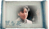 杨志刚 铁梨花 军事 历史
