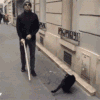 猫咪 萌宠 盲人 搞笑