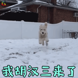 狗 我胡汉三来了 搞怪 soogif soogif出品