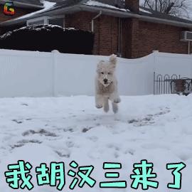 三笠真琴GIF动态图_三笠真琴表情包_三笠真琴