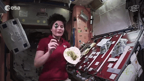 食物 太空 漂浮